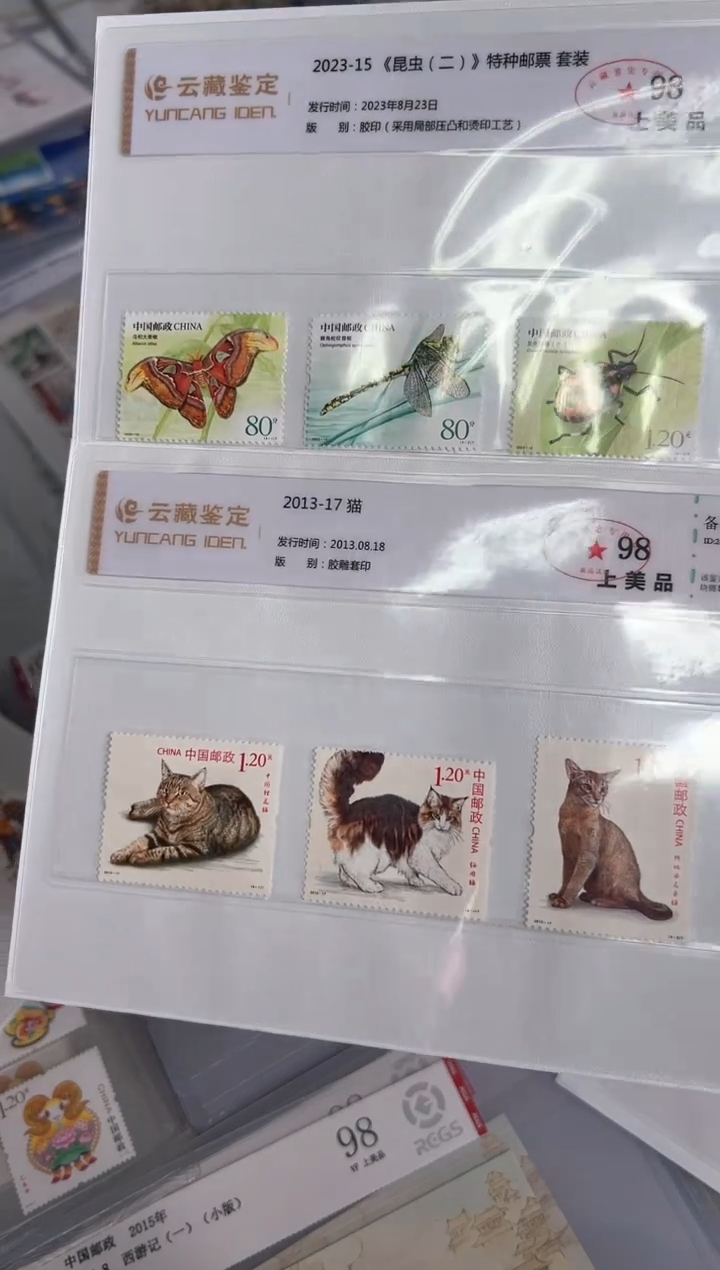 【闪购商品】昆虫 猫 米 套票 限时