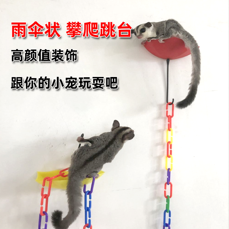 小泡家蜜袋鼯起飞跳台攀爬玩具雨伞自粘起飞站台小飞鼠滑翔训练