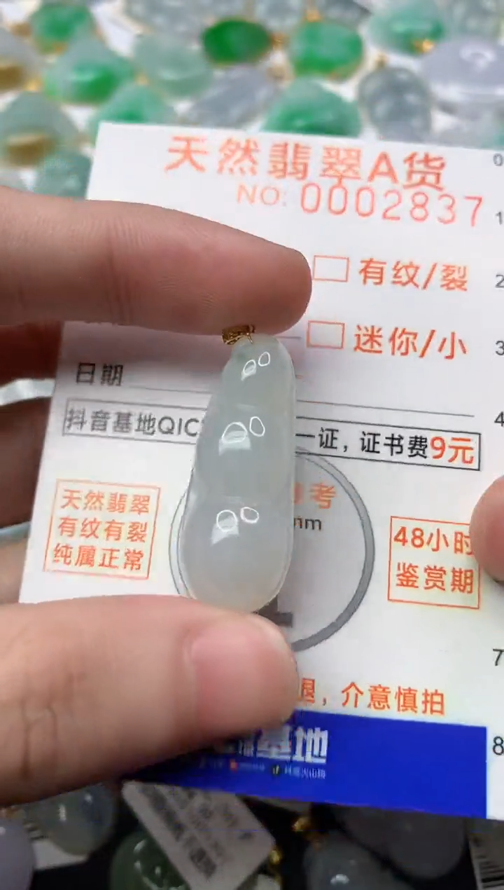 【闪购商品】翡翠颈饰18K金镶嵌6...........