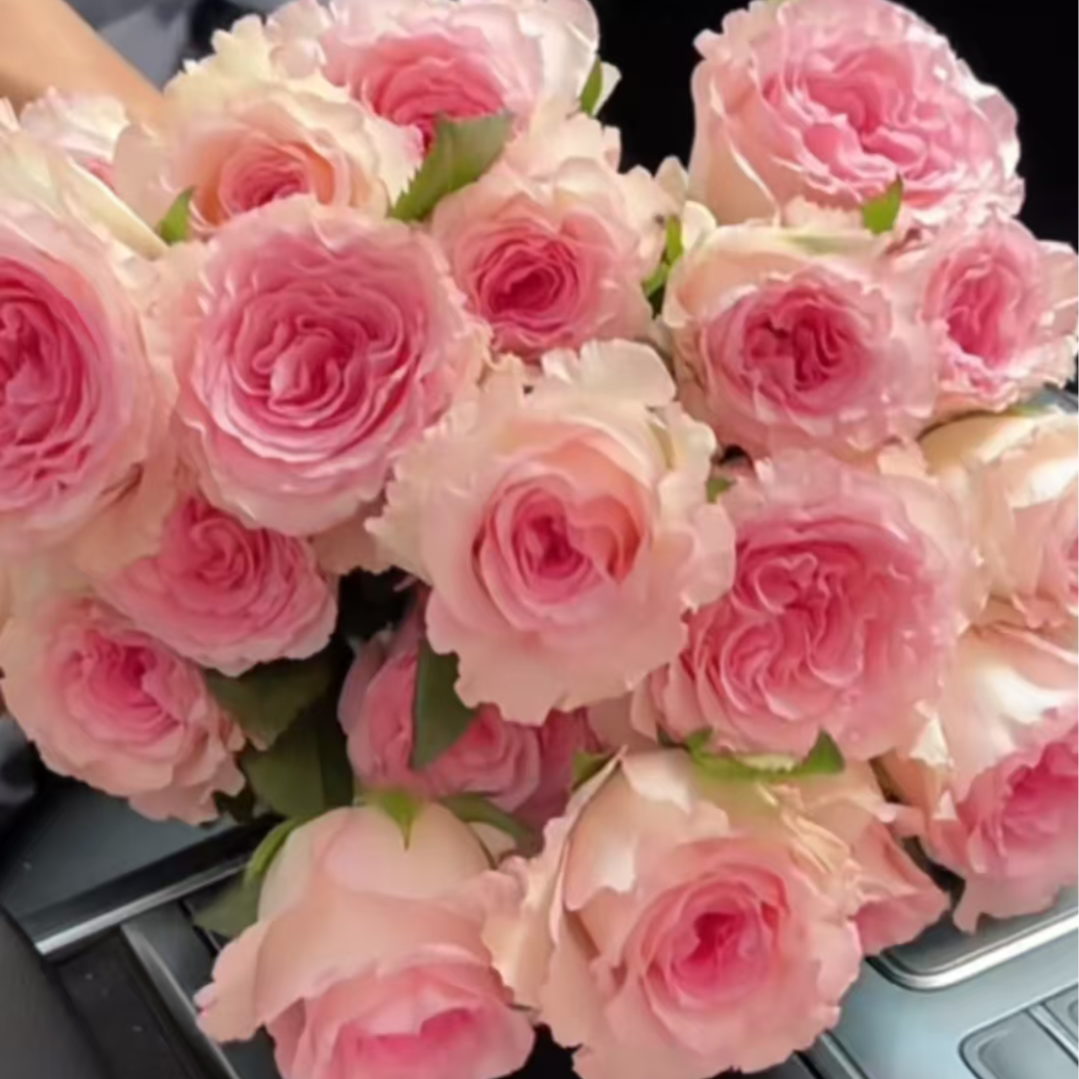 【洛神+香水百合+洋桔梗+向日葵套餐】鲜花【0度以下请拍保温棉】