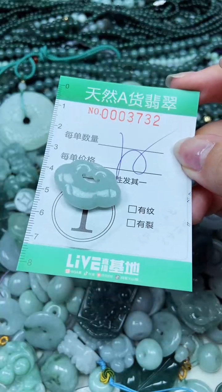 颈饰未镶嵌翡翠天然A货 支持复检