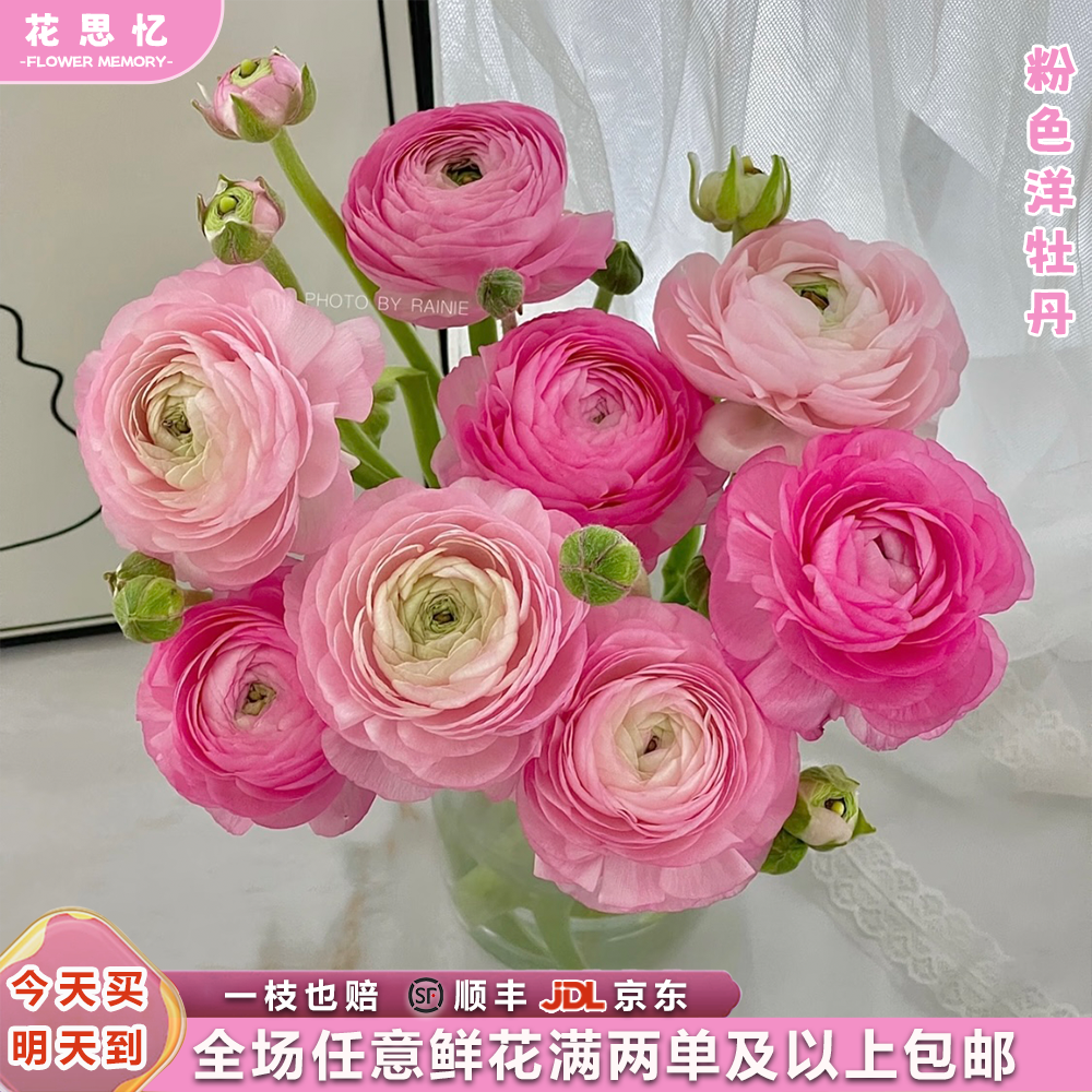 『洋牡丹粉色一把』云南鲜切花 全场任意满两单鲜花顺丰京东送货上门 三单鲜花送玻璃花瓶洋牡丹鲜花直播次日达