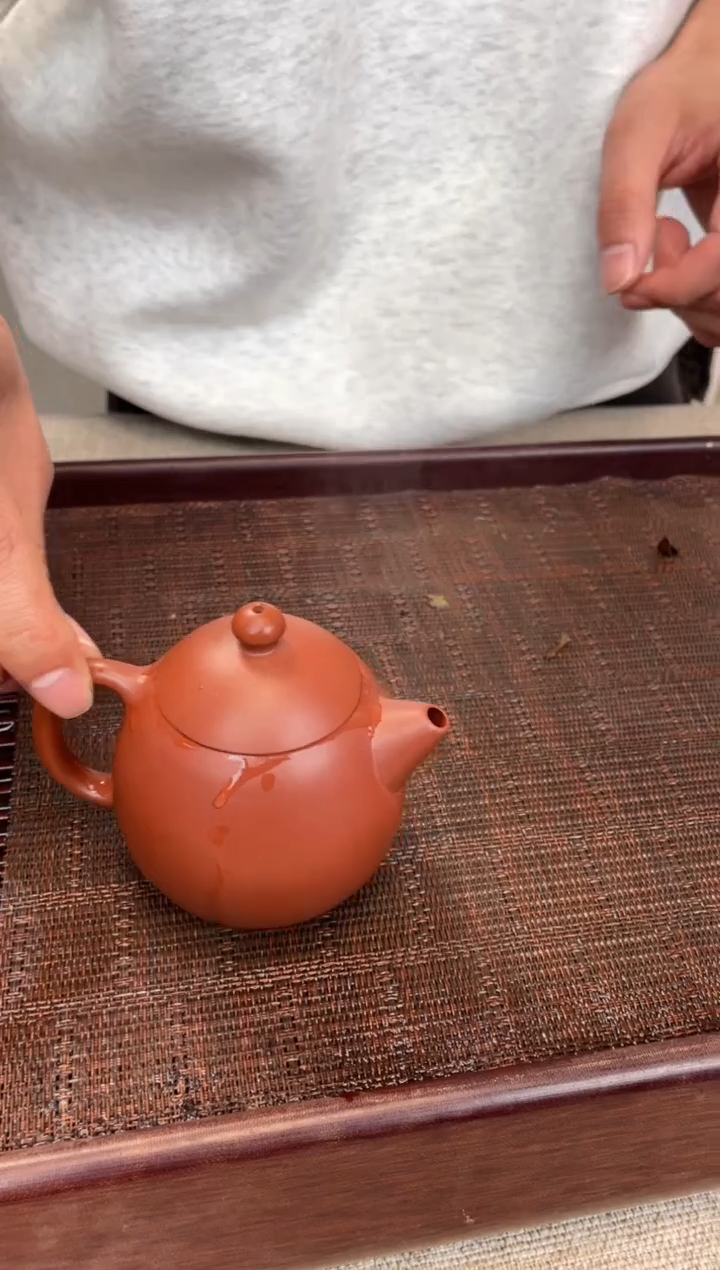 【闪购商品】紫砂茶壶红泥  龙蛋