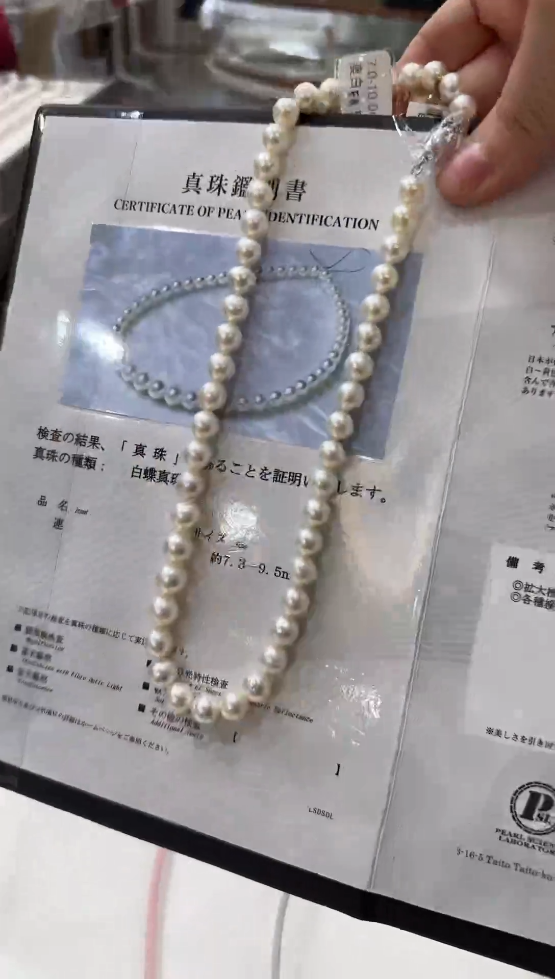 【闪购商品】海水珍珠NN未镶嵌澳白珍珠串链带大证@@E010