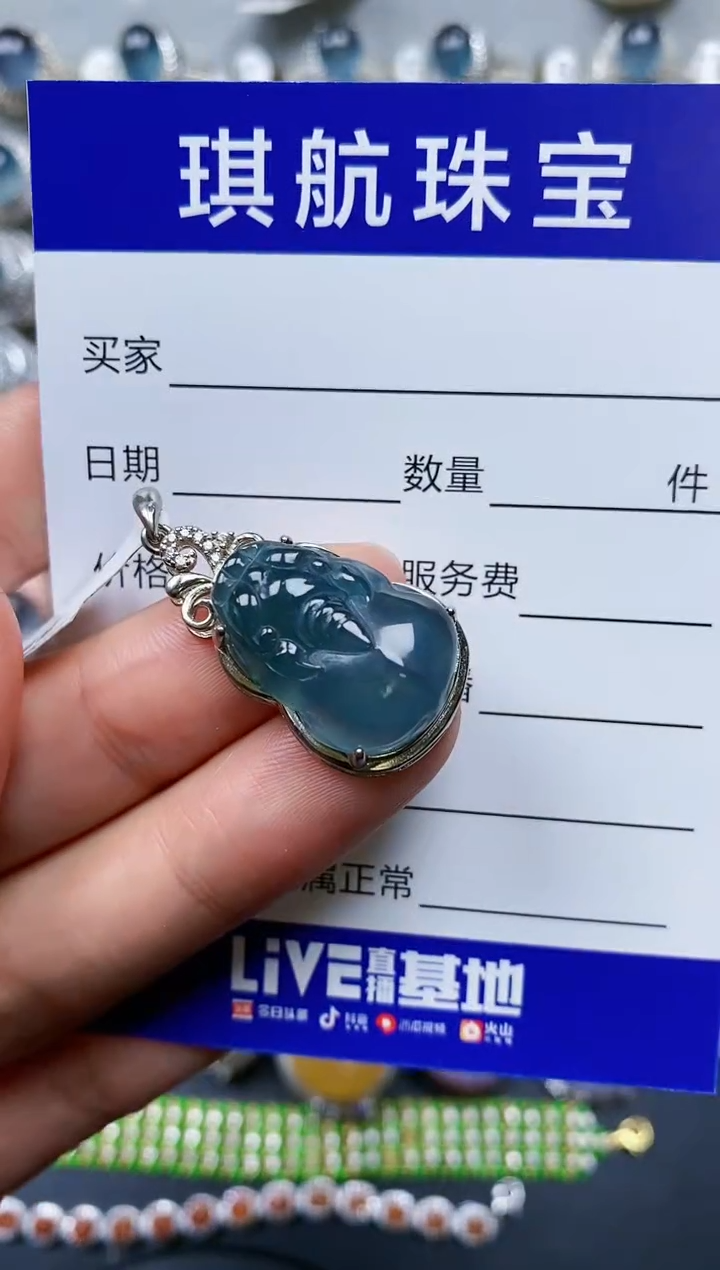 【闪购商品】翡翠颈饰银S925镶嵌0242