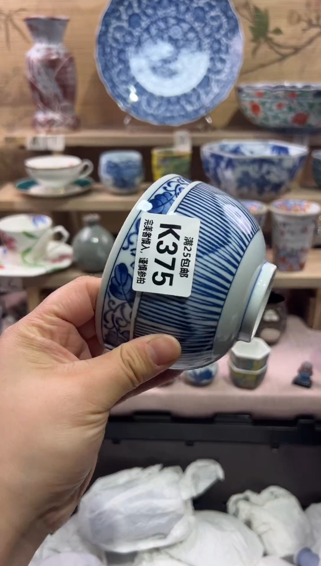 瓷片毛*虫             K375