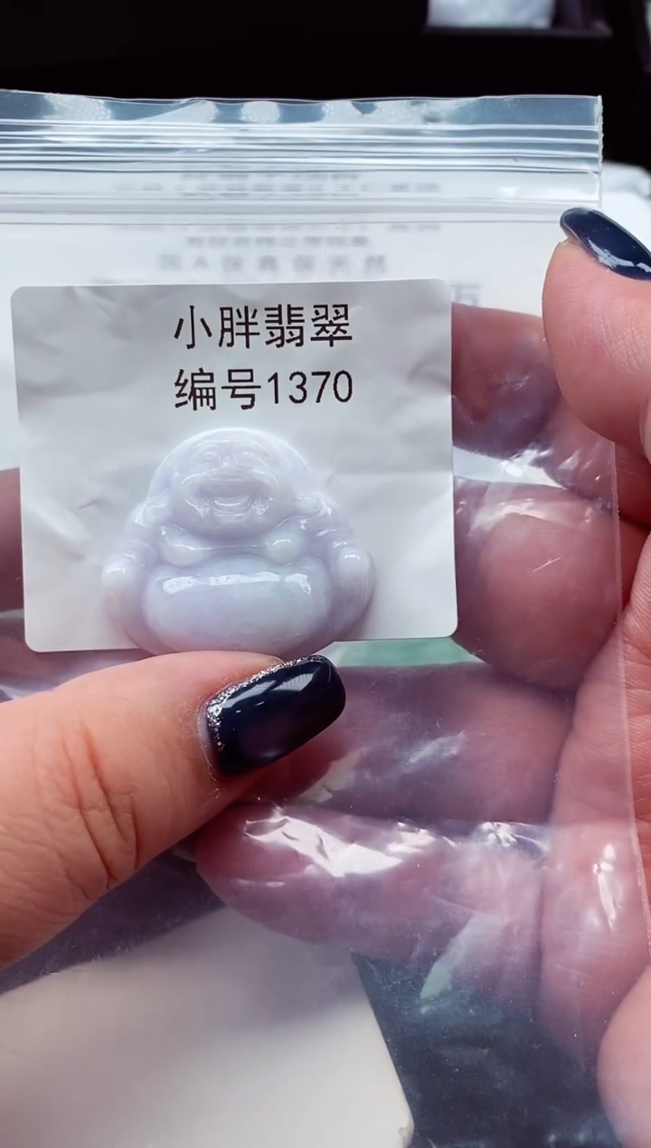 颈饰未镶嵌翡翠缅甸天然A货翡翠1370