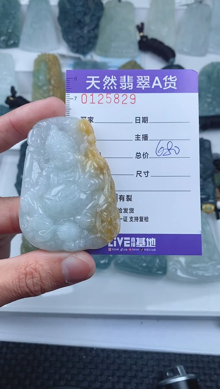 【闪购商品】翡翠颈饰未镶嵌        829