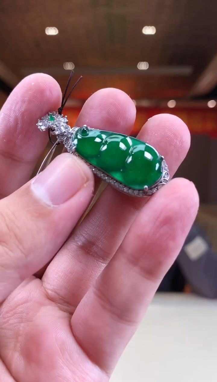 【闪购商品】翡翠颈饰未镶嵌        *650