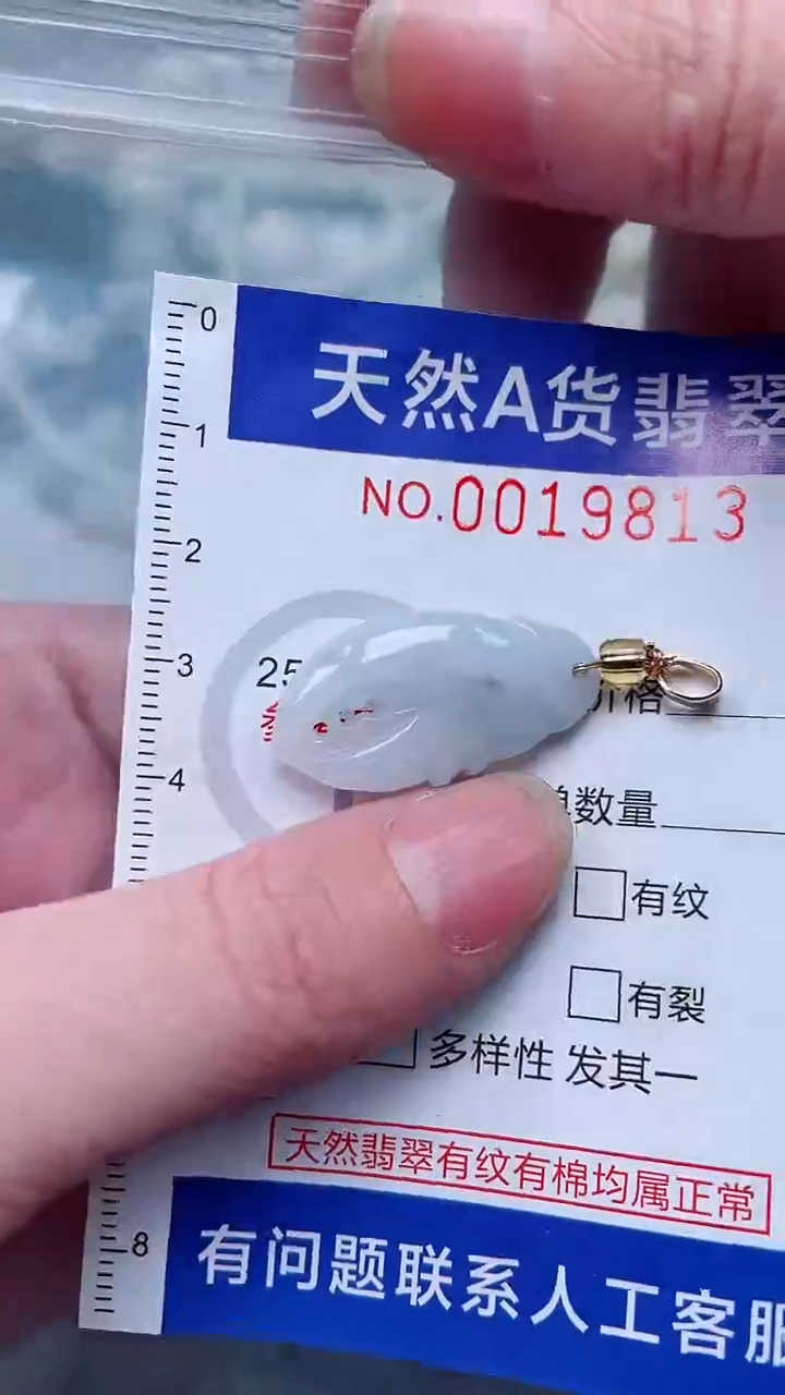 翡翠未镶嵌吊坠(不含链)1