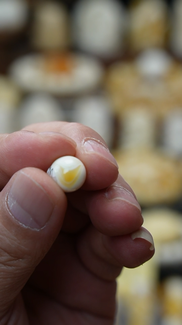 【闪购商品】琥珀裸石未镶嵌胡玩珠宝天然原矿