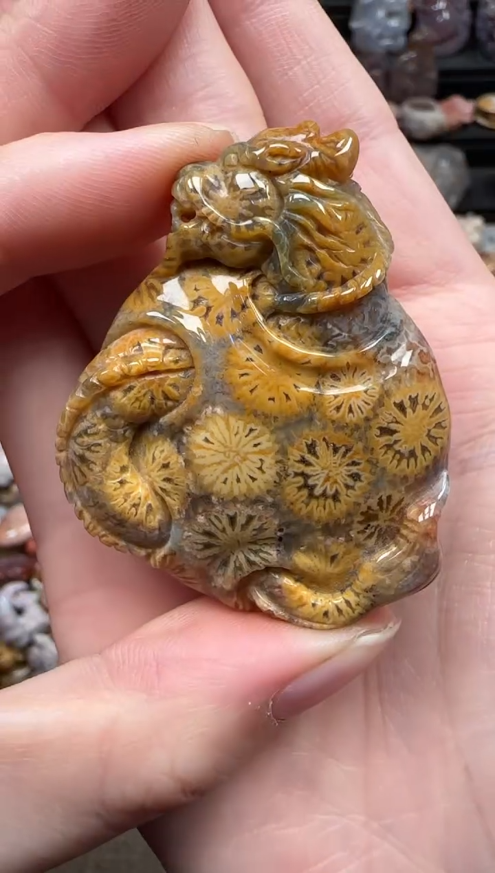 颈饰未镶嵌硅化珊瑚（珊瑚玉）859