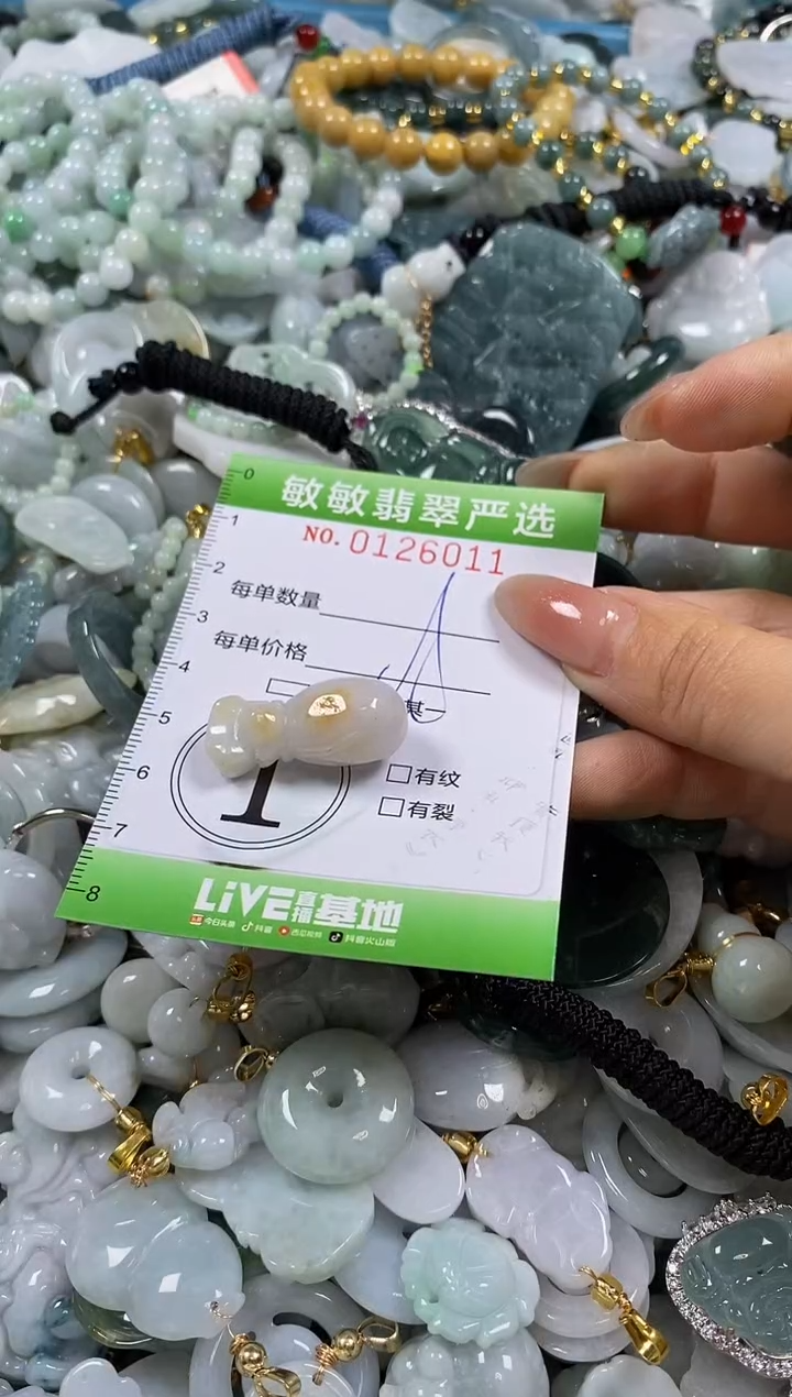 【闪购商品】翡翠颈饰未镶嵌闪购012601