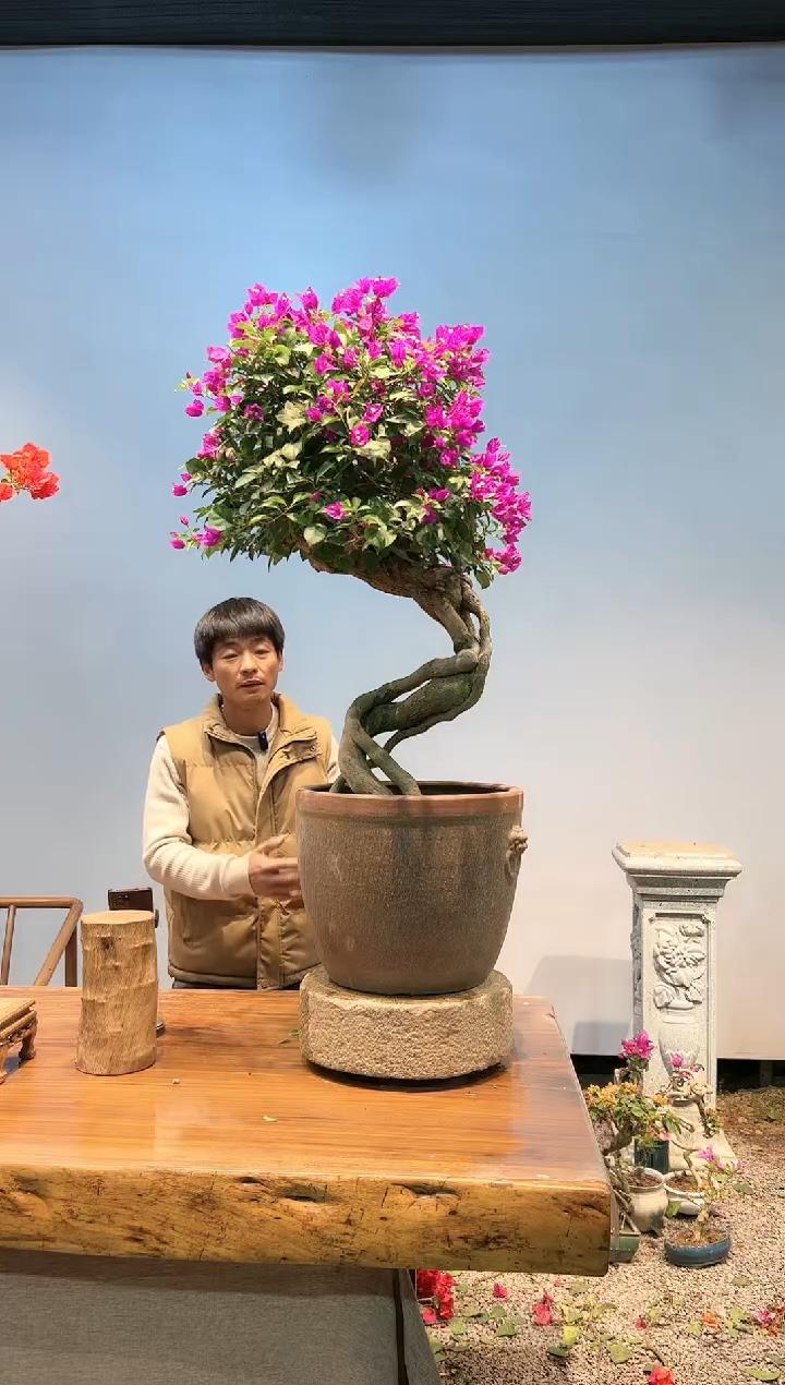 【闪购商品】AA916