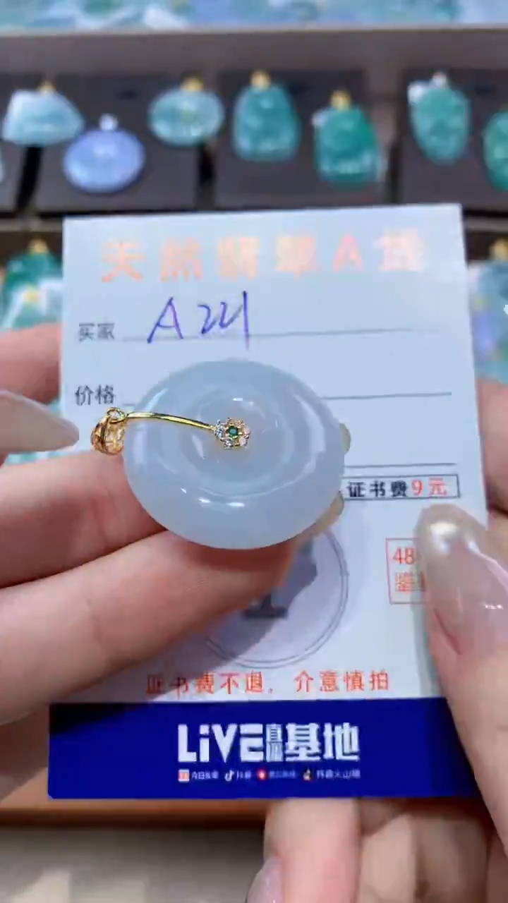 颈饰未镶嵌翡翠天然翡翠A货挂件