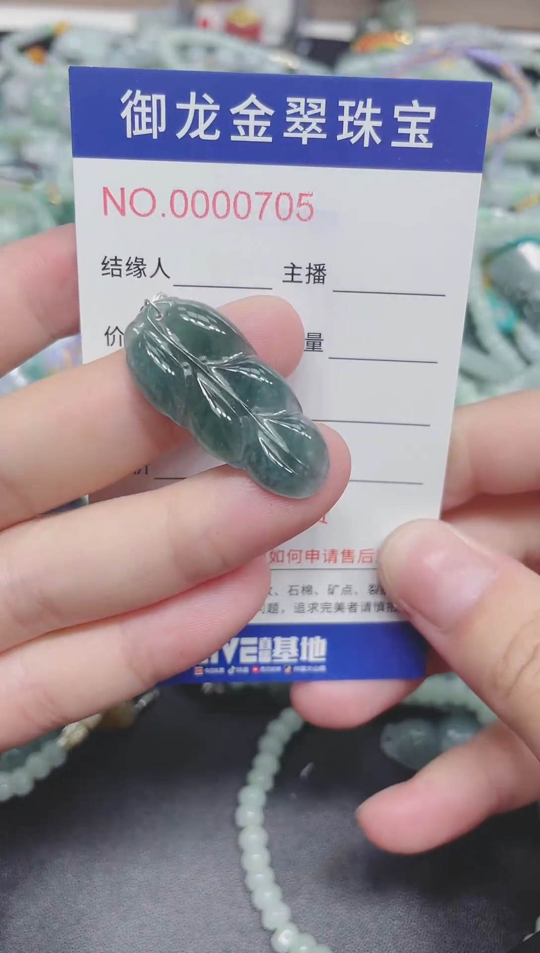 翡翠未镶嵌颈饰050