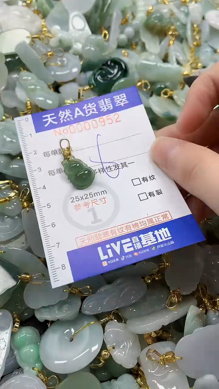 颈饰未镶嵌翡翠纯天然a货翡翠