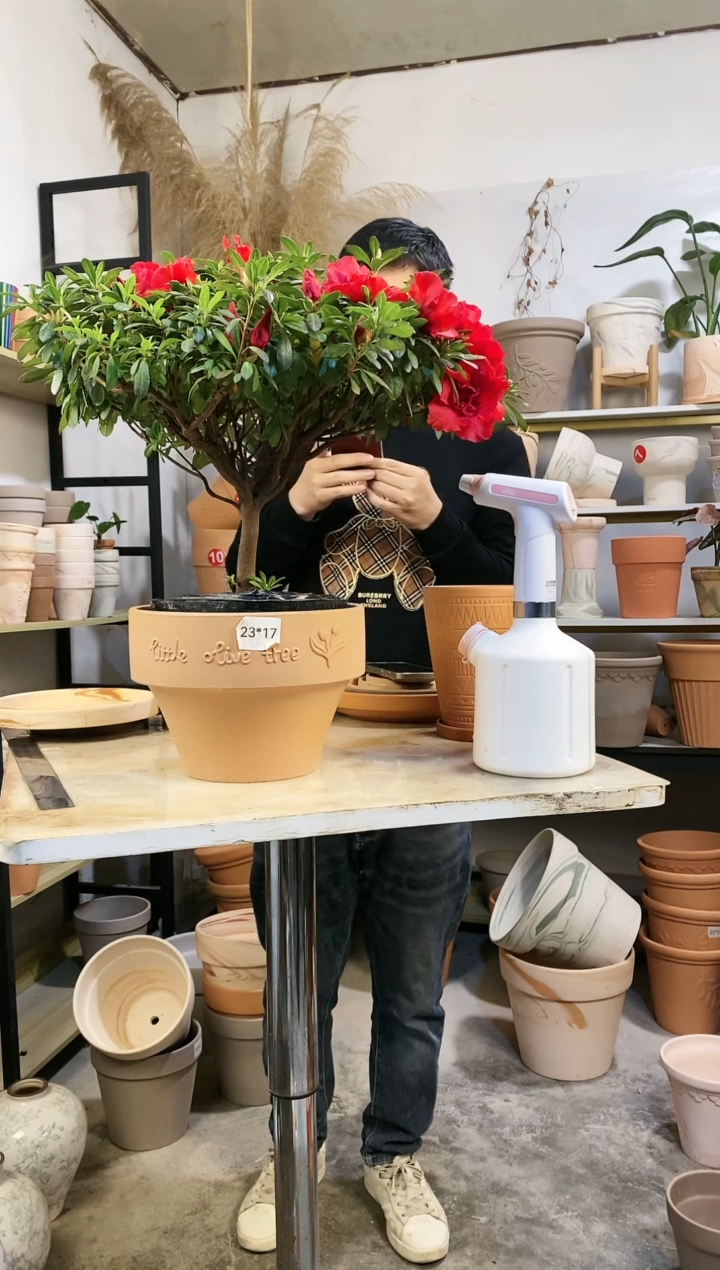 【闪购商品】红陶23*17红陶矮盆 1盆无托