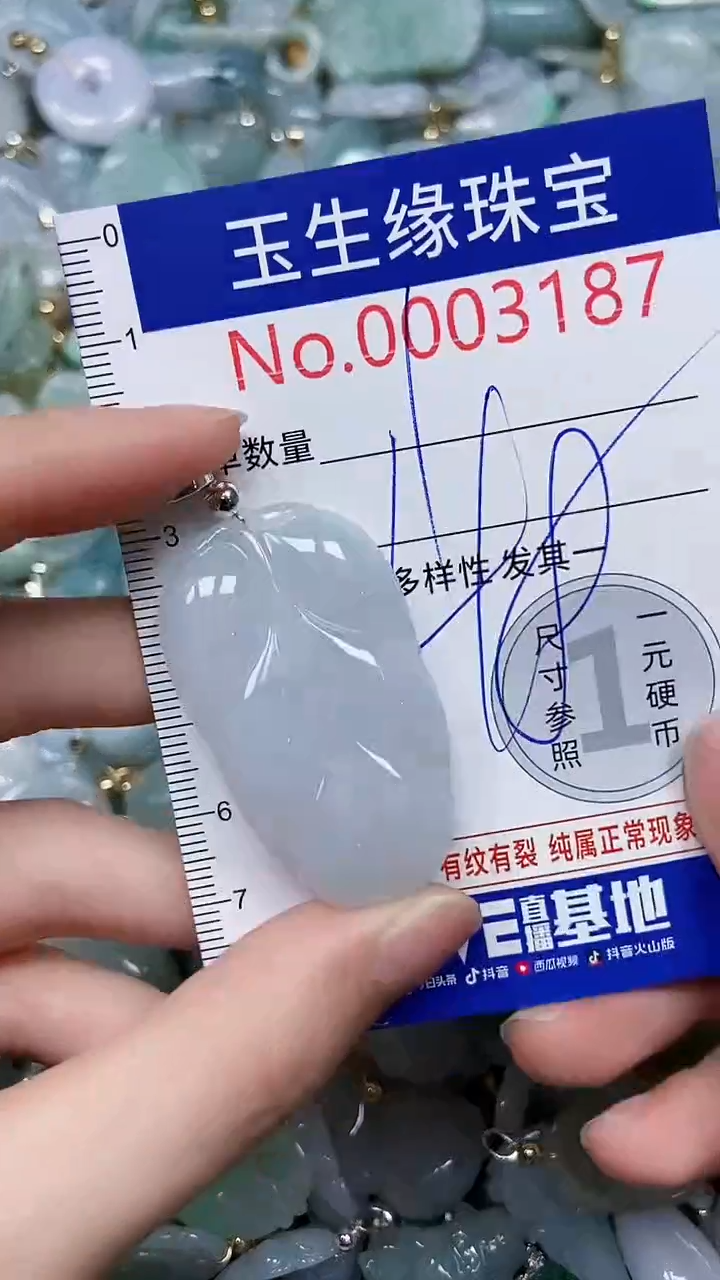 【闪购商品】翡翠颈饰未镶嵌闪购00003186