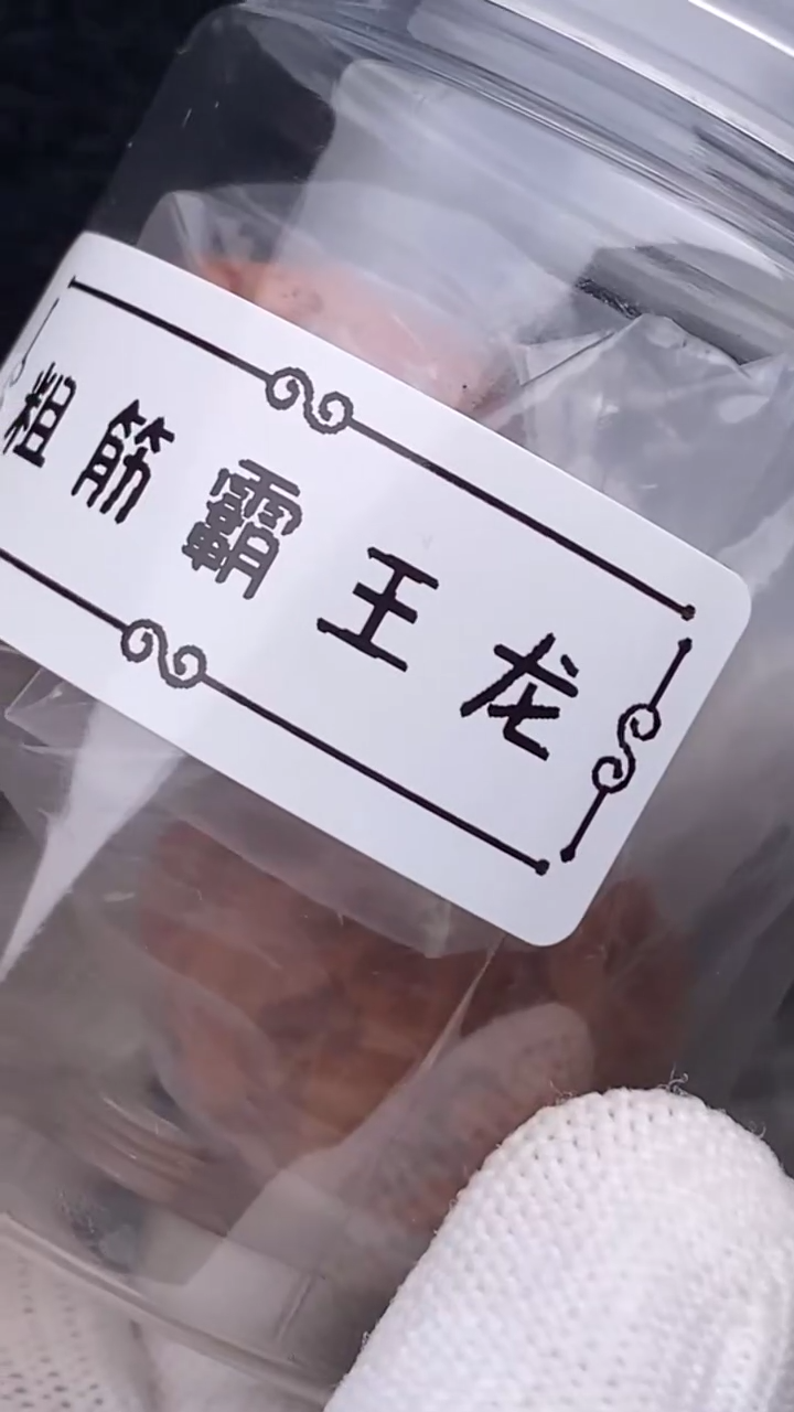 【闪购商品】文玩核桃把件粗筋霸王龙