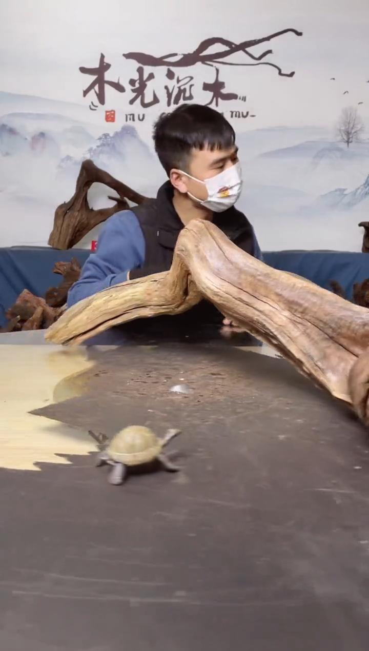 【闪购商品】A886木光沉木木光沉木