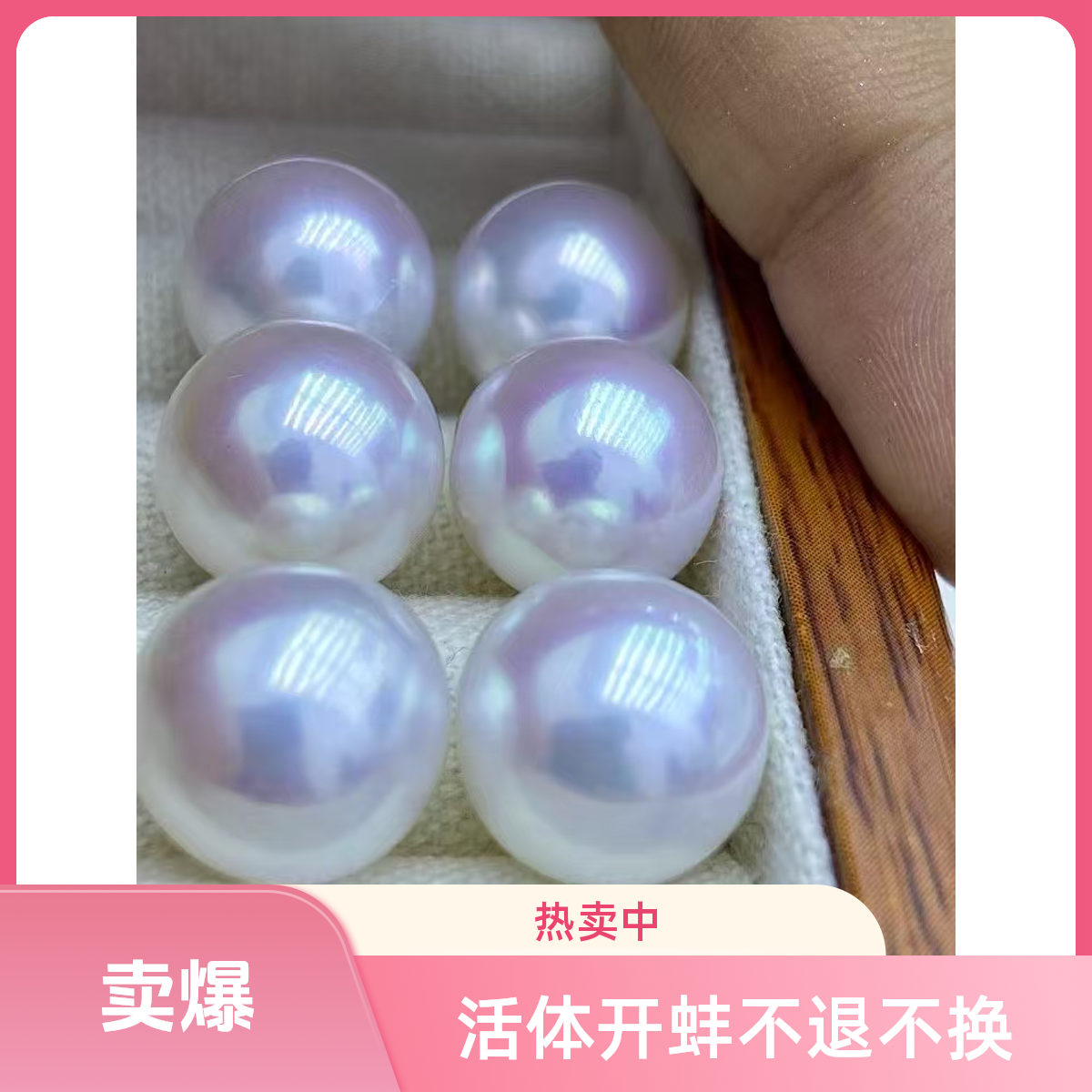 白色单珠 活体开蚌不退不换