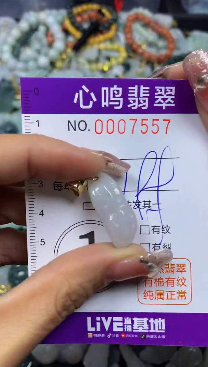 【闪购商品】翡翠颈饰未镶嵌闪购007557