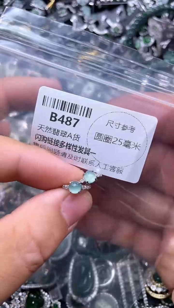 【闪购商品】翡翠颈饰未镶嵌B487耳扣