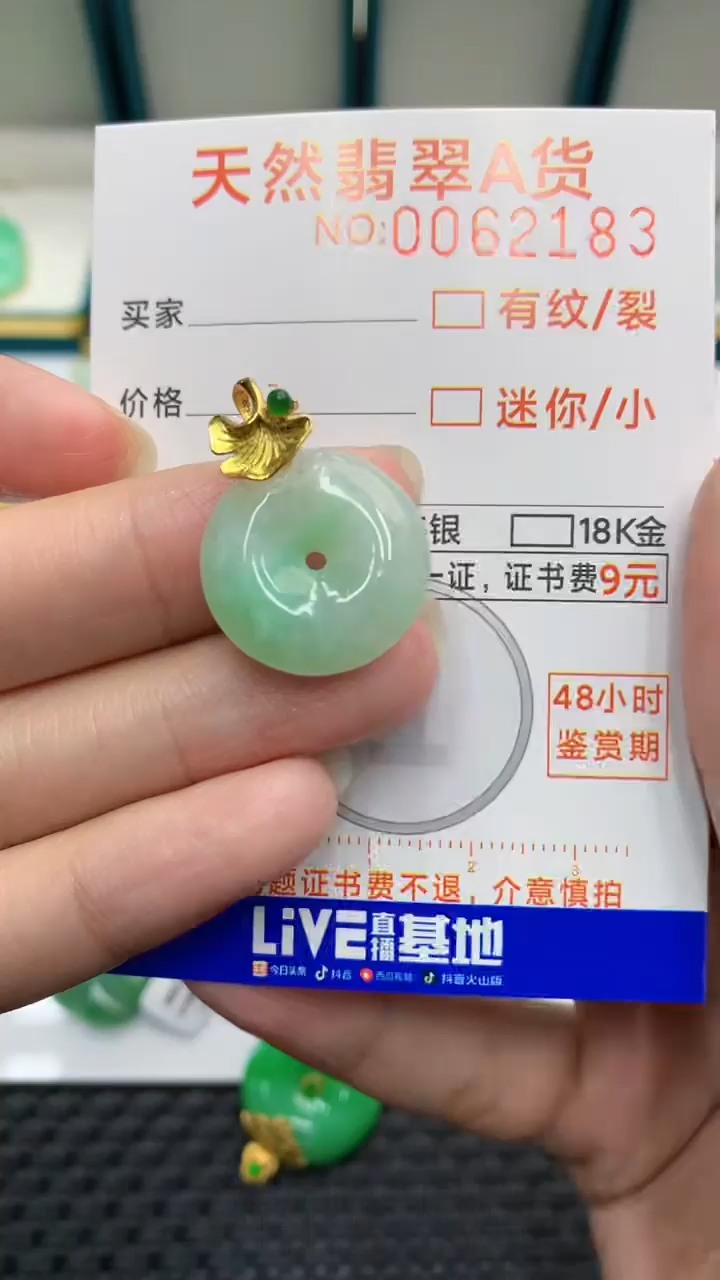 【闪购商品】翡翠颈饰银S925镶嵌            8