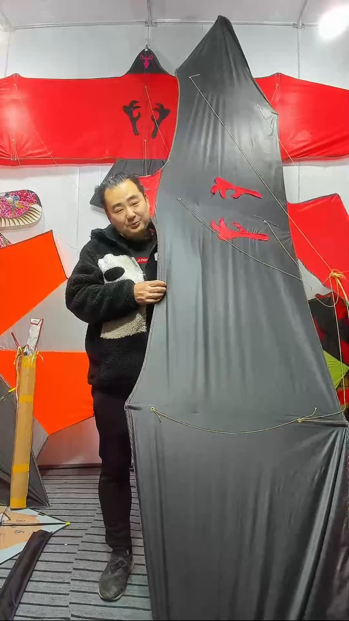 4米544伞布板鹰纯碳杆