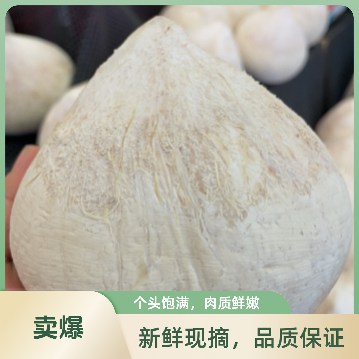 （配送到家）泰国香水椰皇一颗