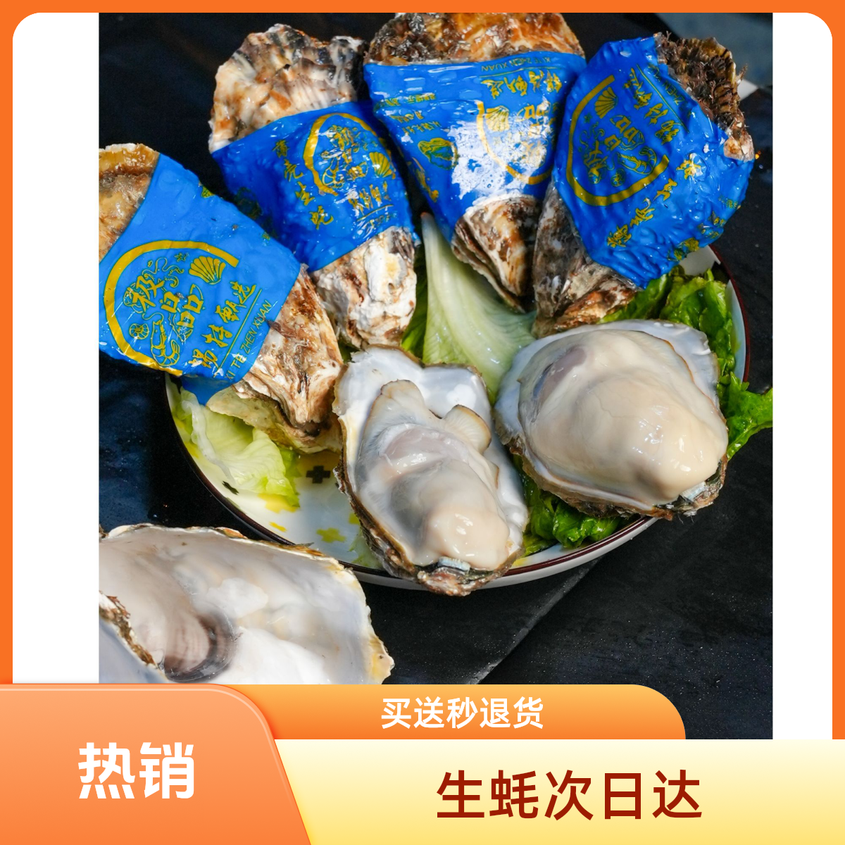 买5斤送5斤】新鲜正宗乳山生蚝牡蛎原产地包邮海蛎子蒸煮烤生蚝