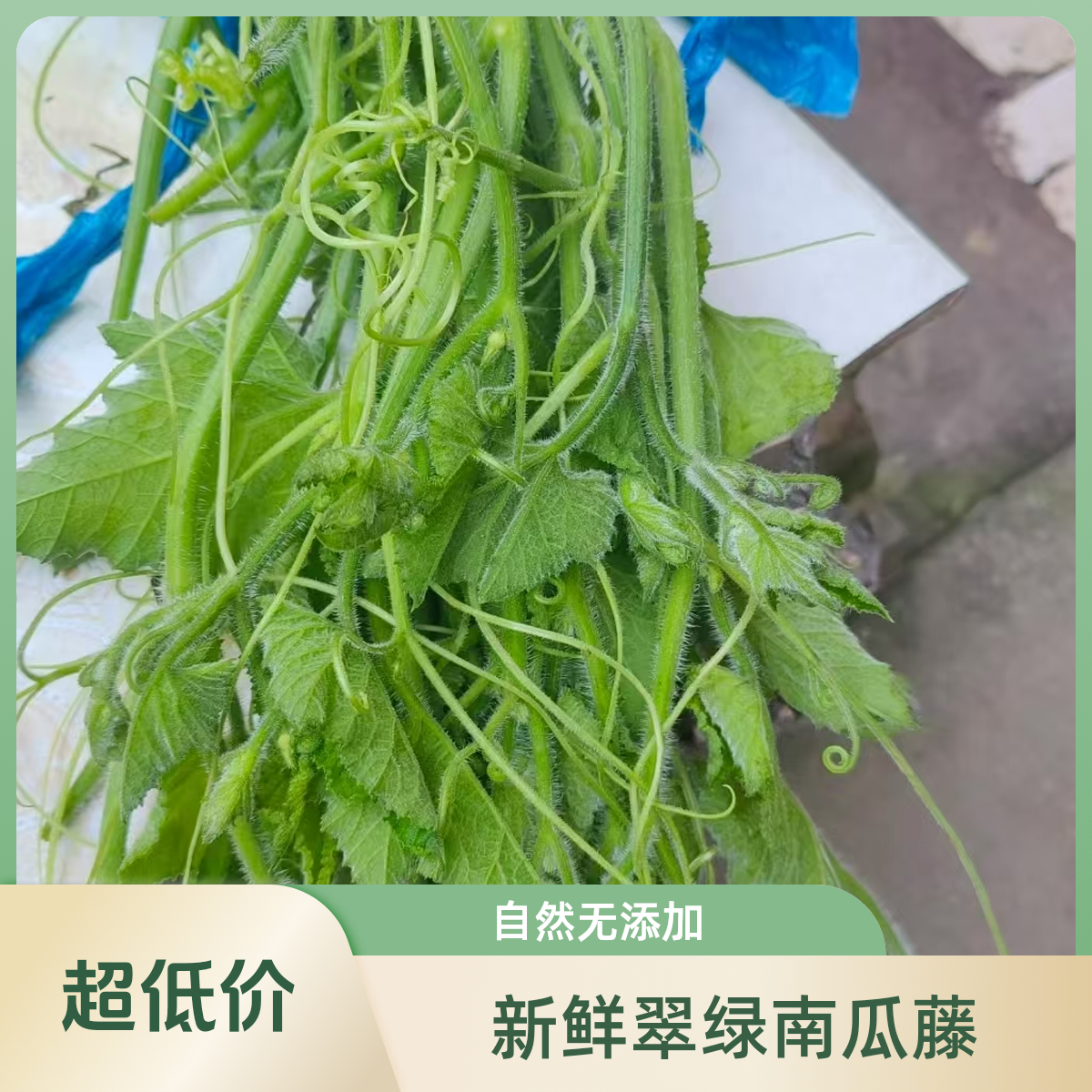 《同城配送》剥好瓜苗1斤