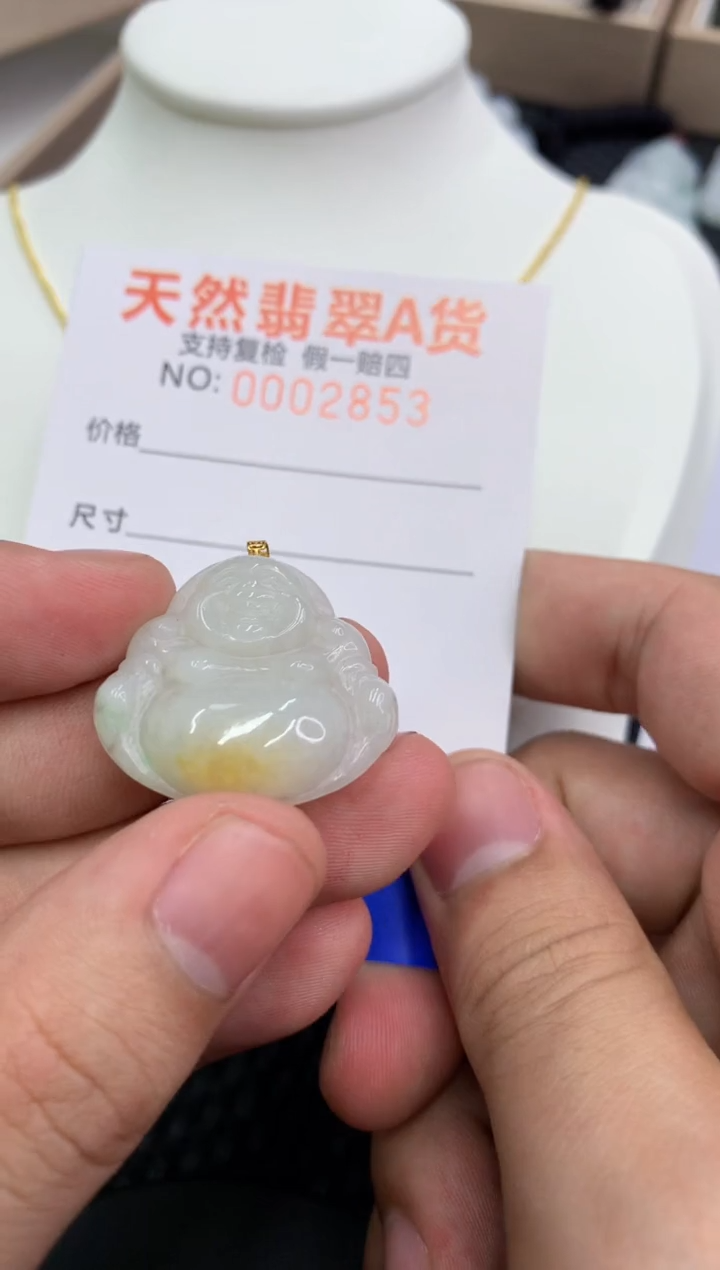 【闪购商品】翡翠颈饰18K金镶嵌11111111111