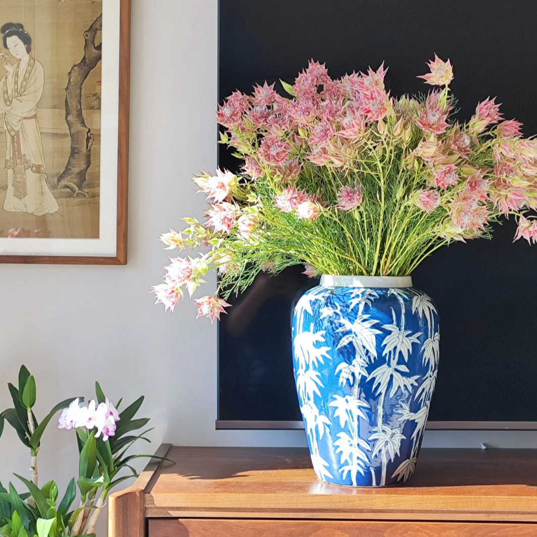 【小阿阮】稀有新娘花·A级鲜花超长花期可做干花氛围感 顺丰直发