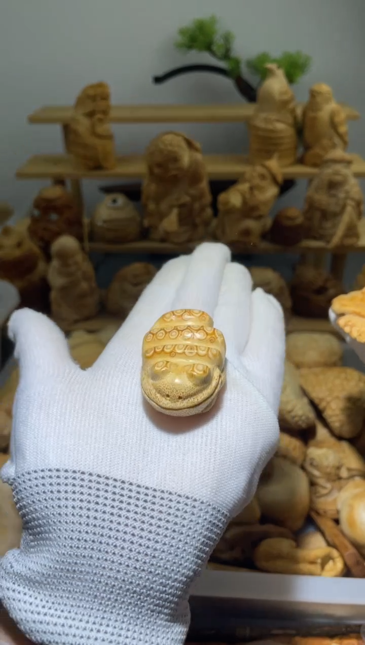 竹麦*小扁蟾111111111