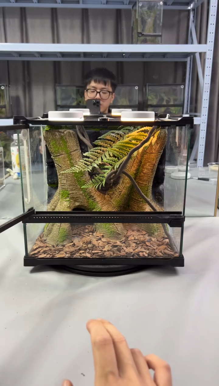 玻璃【长30宽25高27】爬宠造景缸睫角守宫树栖蜘蛛饲养箱爬宠爬虫缸