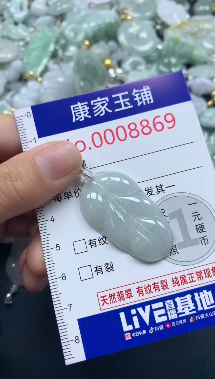 吊坠(不含链)未镶嵌翡翠8869