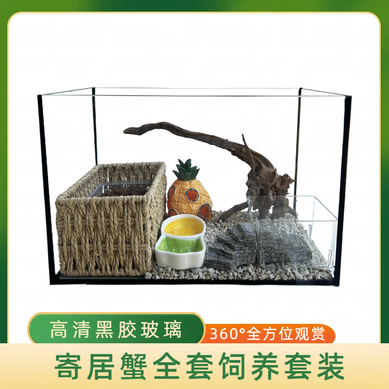 寄居蟹饲养缸高清黑胶玻璃爬宠新手寄居蟹饲养箱桌面宠物饲养