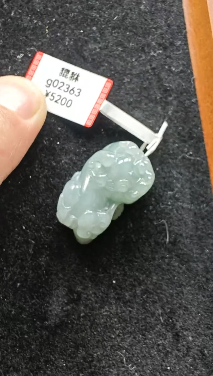 【闪购商品】翡翠颈饰未镶嵌g02363-貔貅