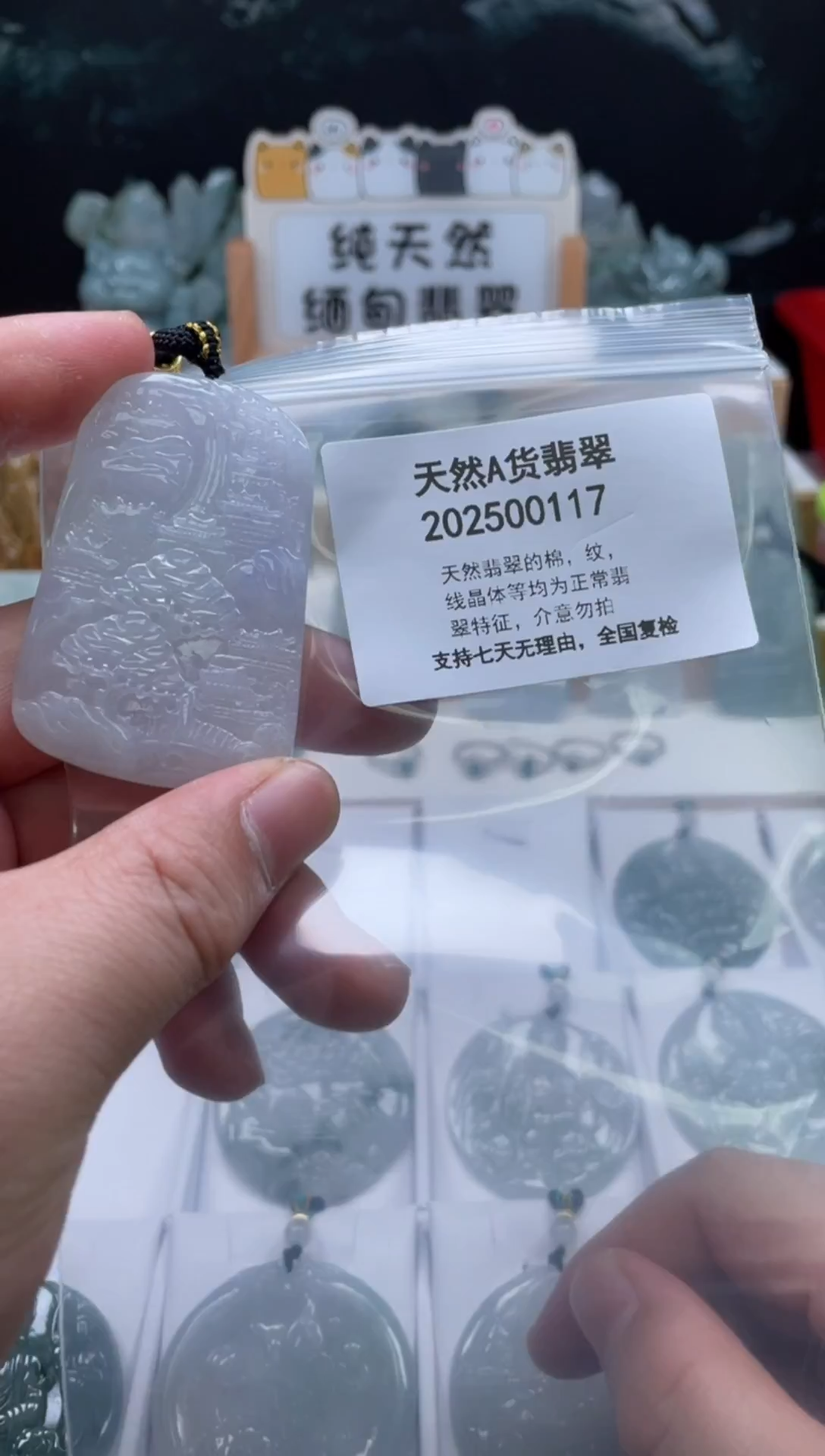 颈饰未镶嵌翡翠翠峰翡翠202512100076