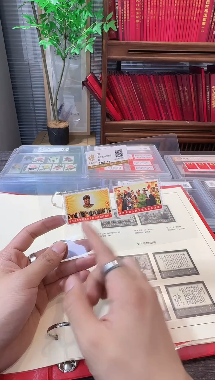 文6 封装评级鉴定收藏