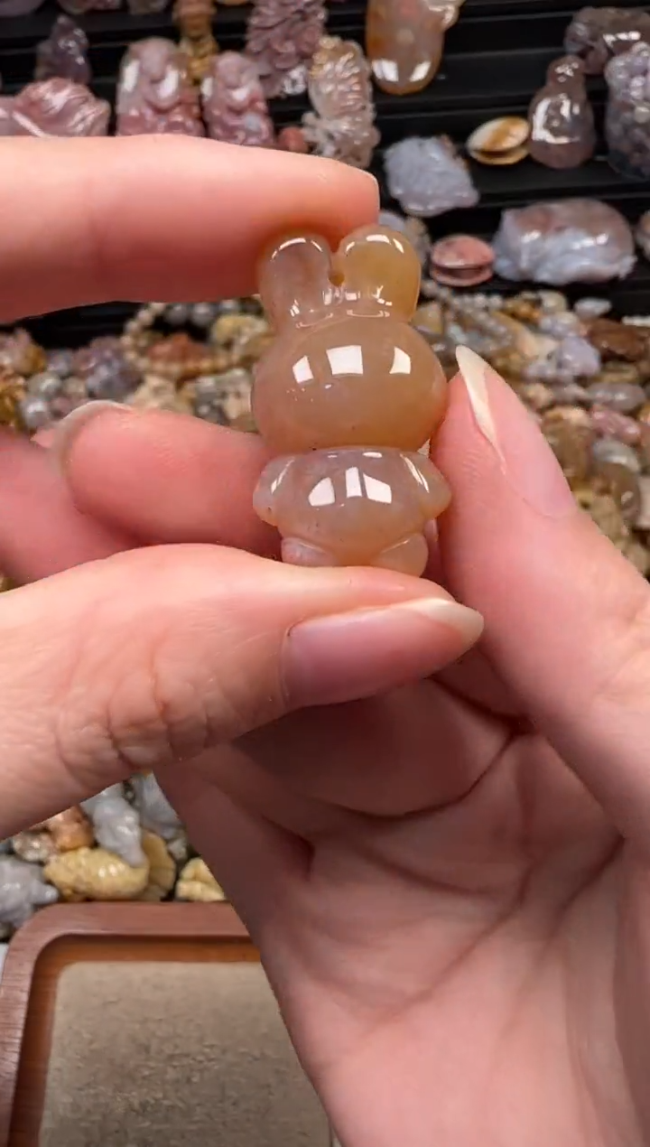 颈饰未镶嵌硅化珊瑚（珊瑚玉）756