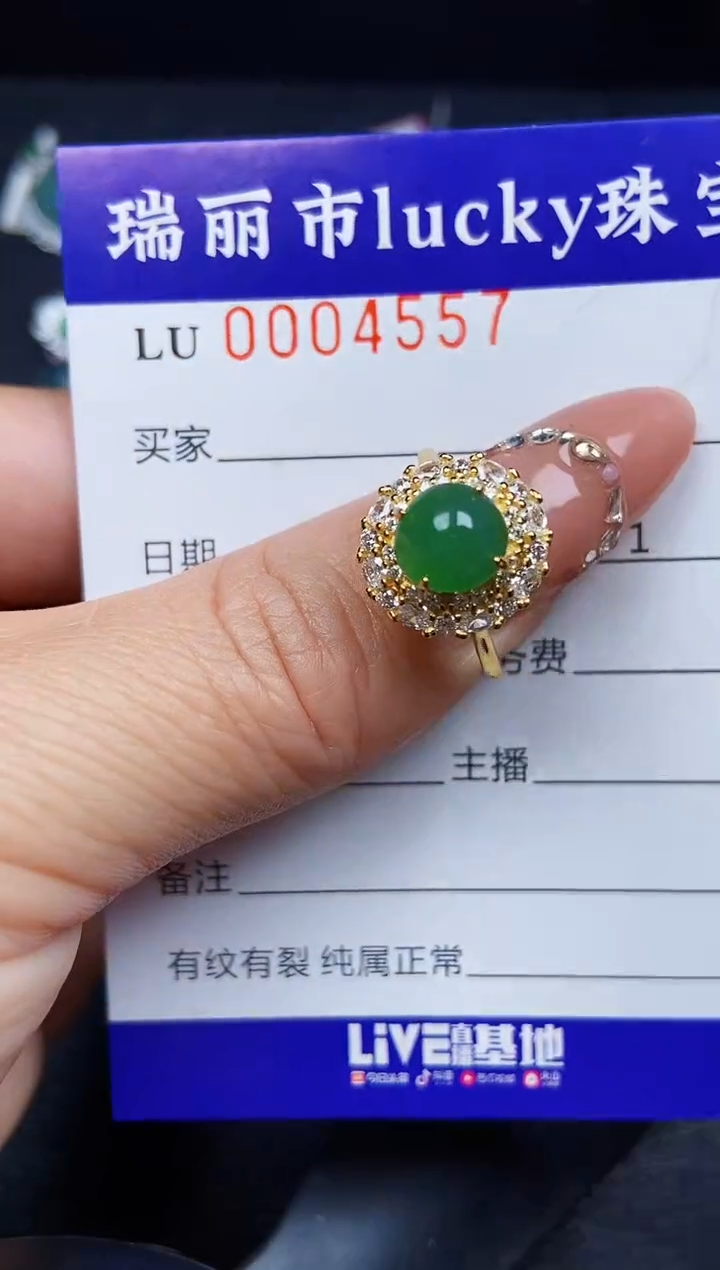 翡翠银S925镶嵌颈饰4557