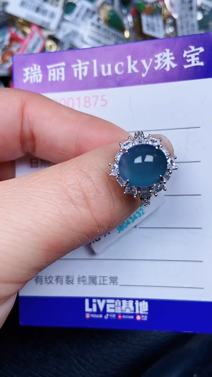 颈饰银S925镶嵌翡翠1875