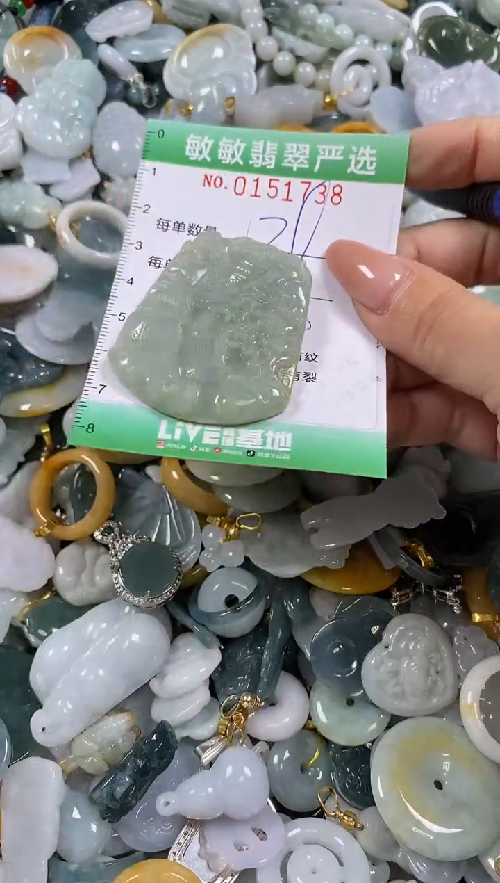 翡翠未镶嵌颈饰闪购0151738