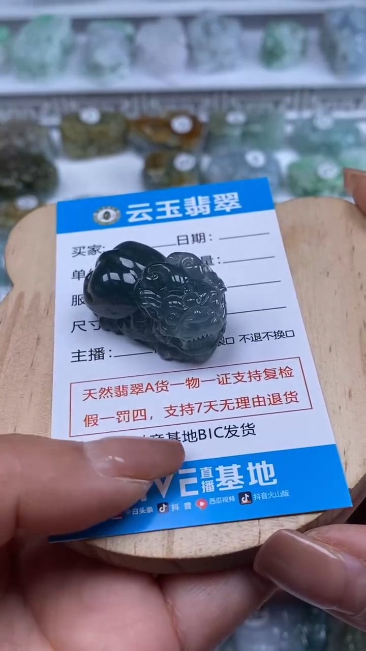 颈饰未镶嵌翡翠瑾**华貔貅