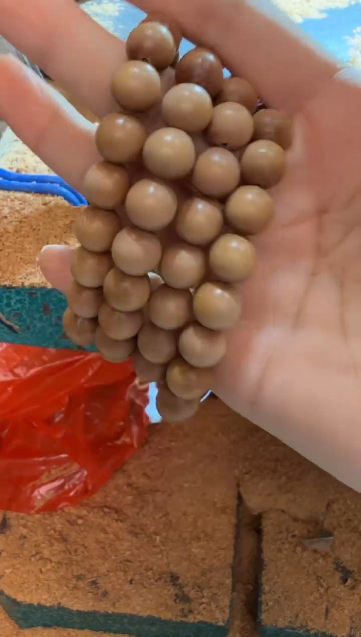 檀香木其他1.0沉水单圈