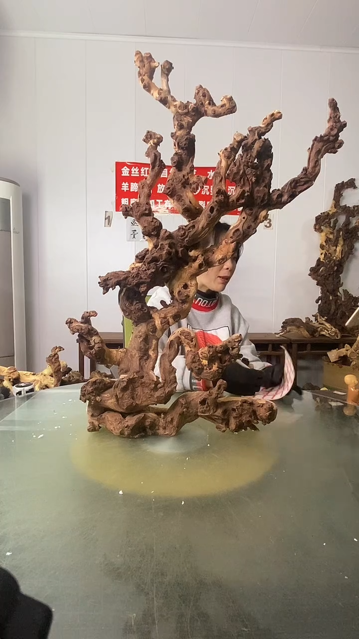 木大****3金丝红木  羊蹄甲