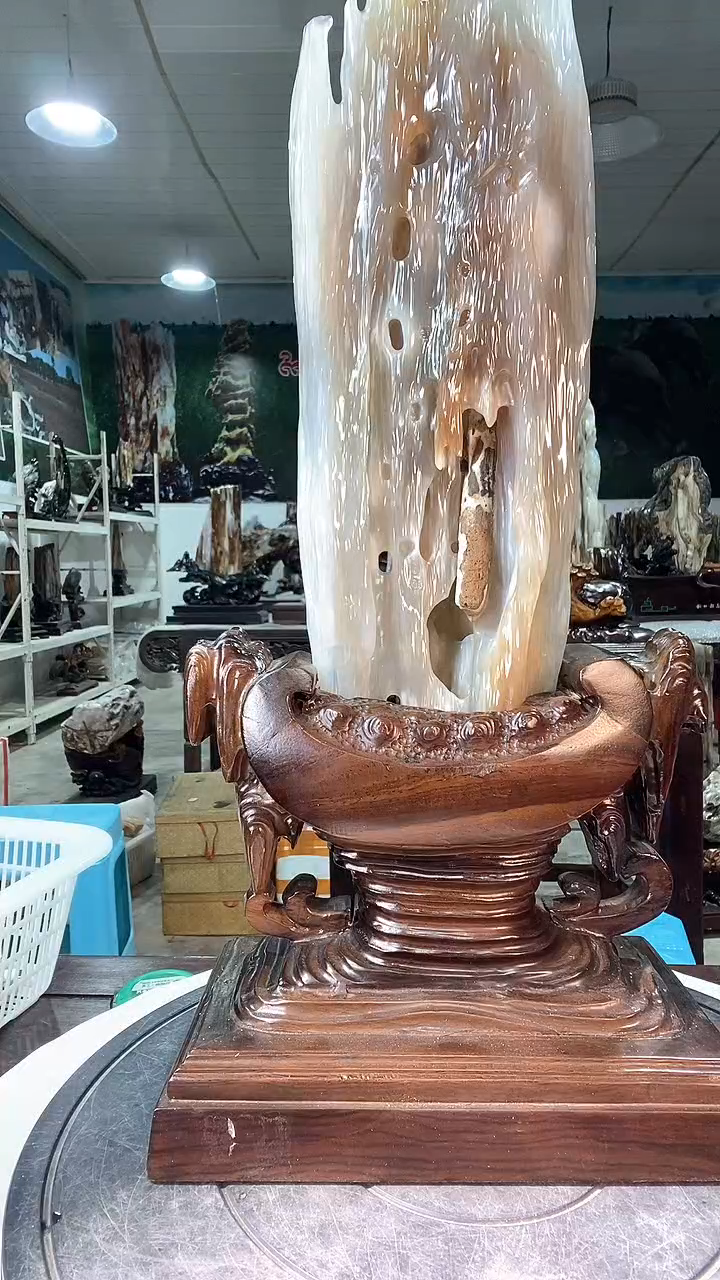 【闪购商品】硅化玉珠宝奇石未镶嵌树化玉